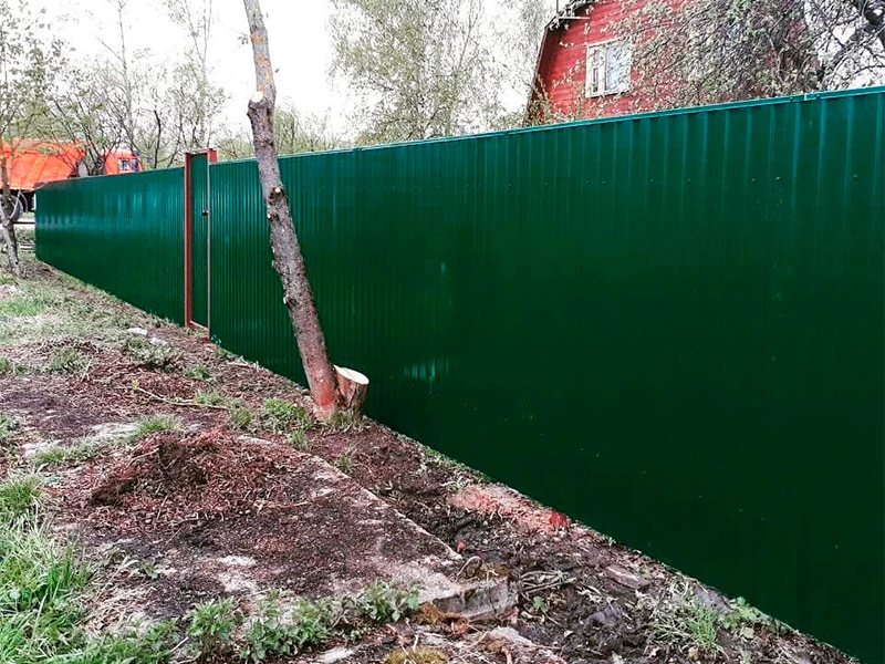 ����� �� ���� �� 3 �����