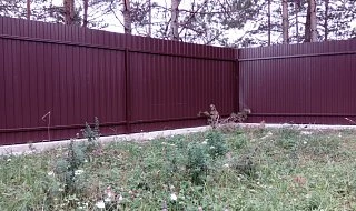 �����: ����� �� ����������� C10 �� 8 ����� � ����� ������